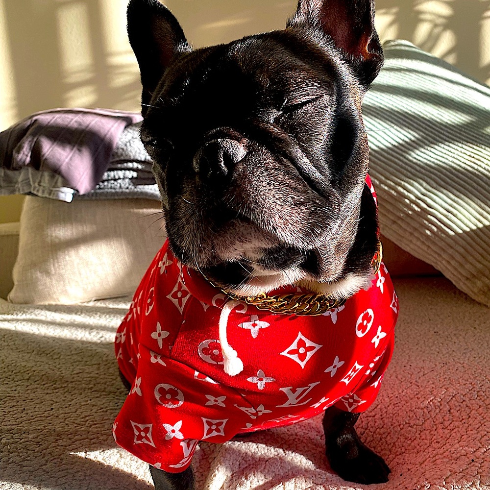 Pawmain “Pupreme” Supreme x Louis Vuitton Collab - Inspired Hoodie for Dogs - Picture 7 of 11